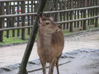 IMG_0649.JPG